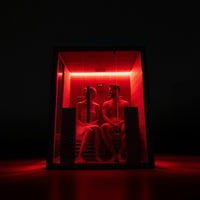 WSG Infrarotkabine Infrared Hekla 160